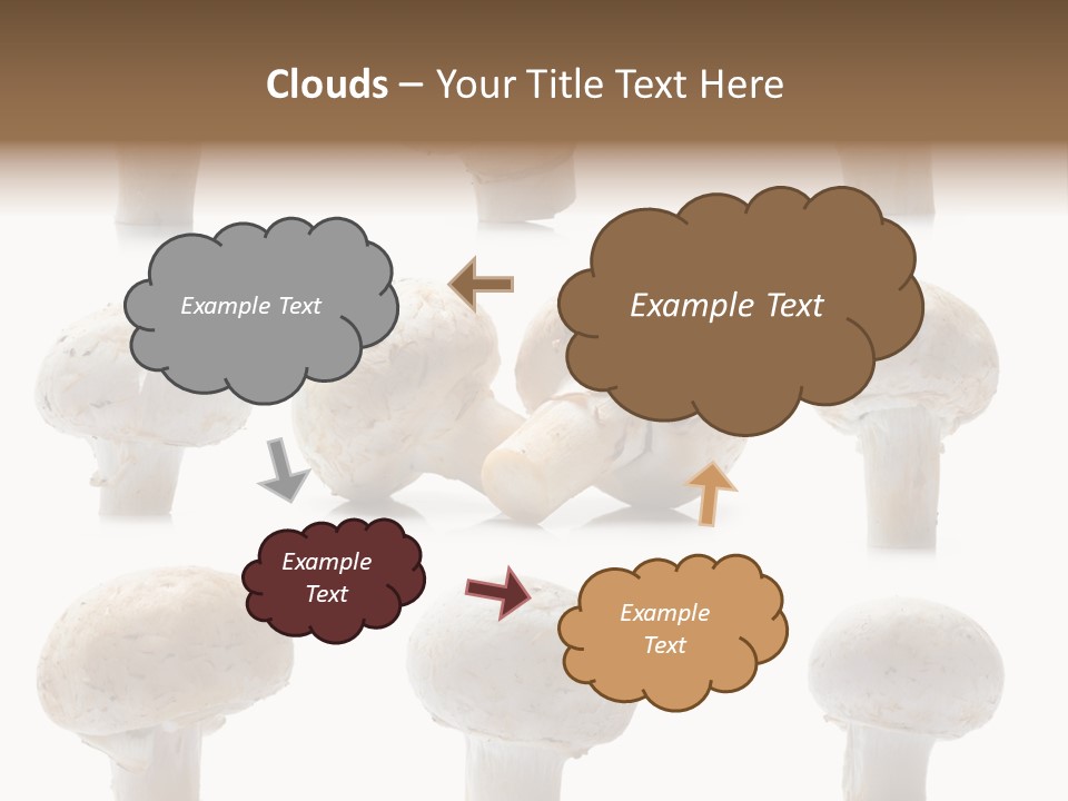 Fungus Nature Studio PowerPoint Template