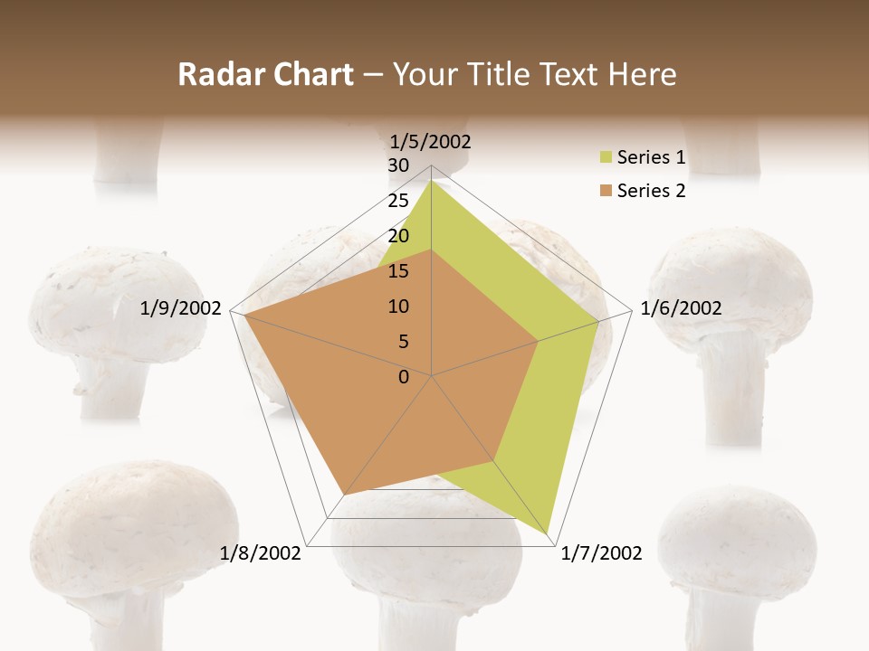 Fungus Nature Studio PowerPoint Template