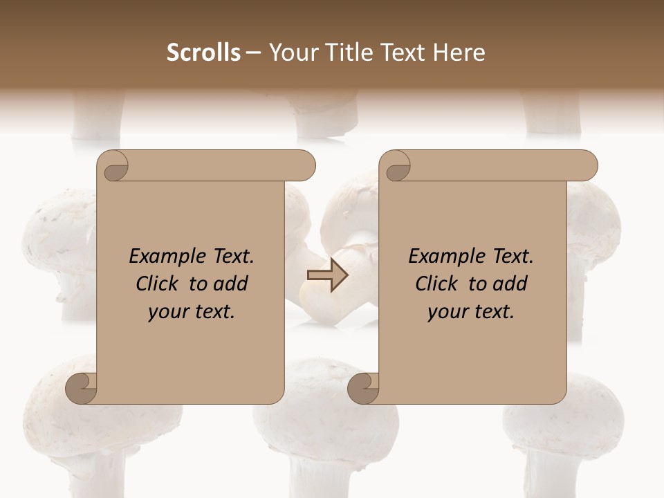 Fungus Nature Studio PowerPoint Template