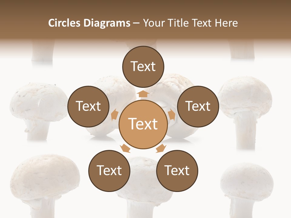 Fungus Nature Studio PowerPoint Template