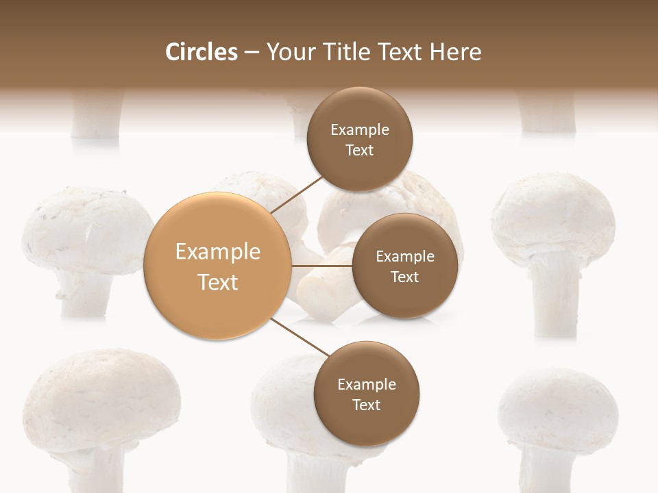Fungus Nature Studio PowerPoint Template