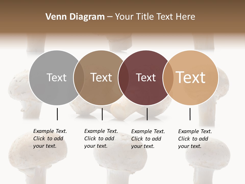 Fungus Nature Studio PowerPoint Template