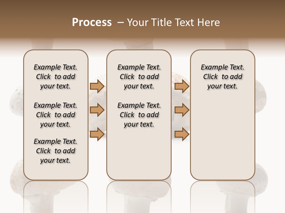 Fungus Nature Studio PowerPoint Template