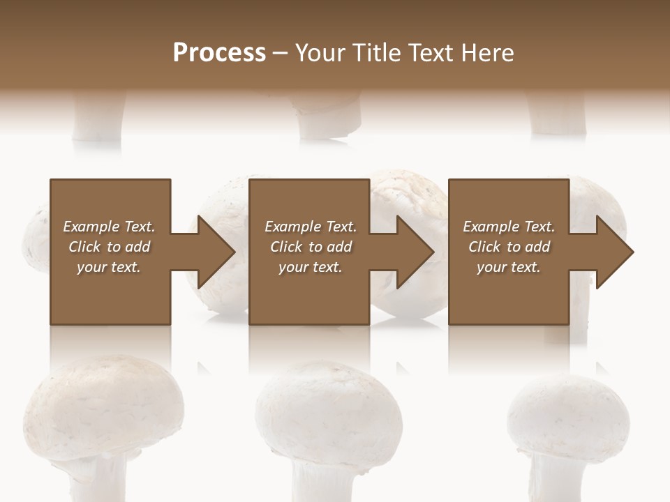 Fungus Nature Studio PowerPoint Template