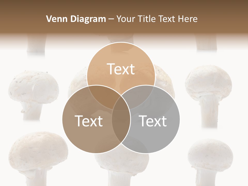 Fungus Nature Studio PowerPoint Template