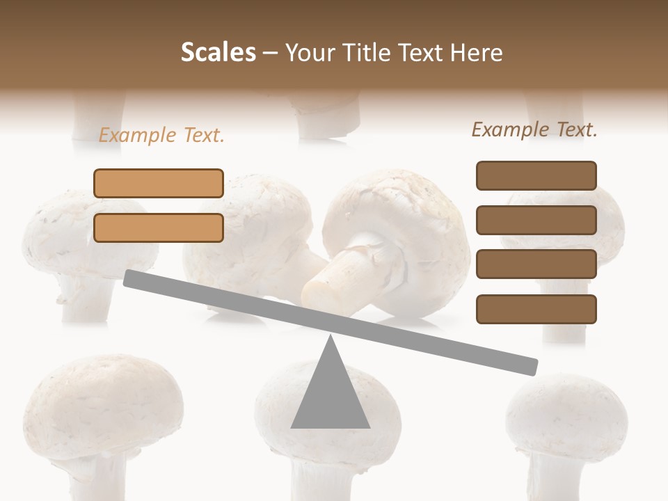 Fungus Nature Studio PowerPoint Template