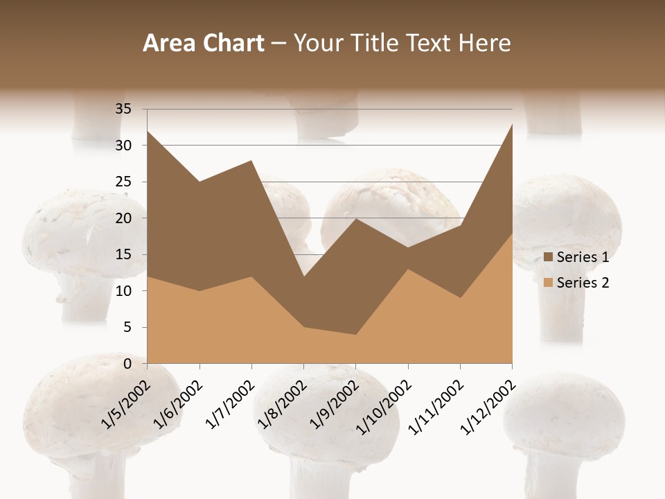 Fungus Nature Studio PowerPoint Template