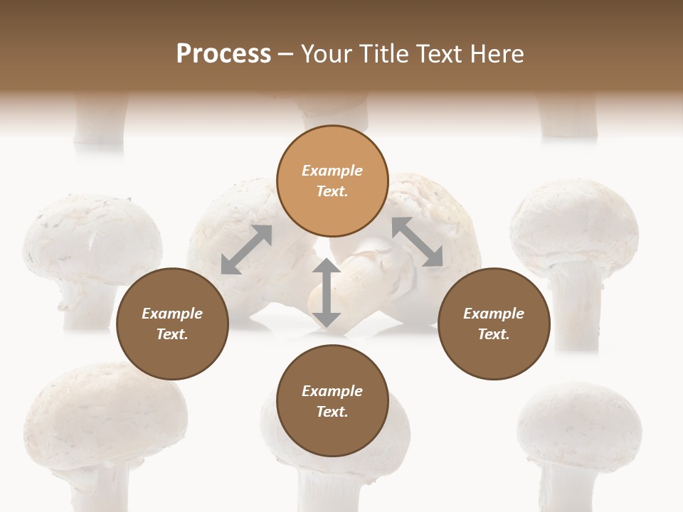 Fungus Nature Studio PowerPoint Template