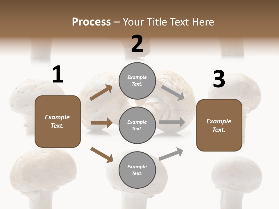 Fungus Nature Studio PowerPoint Template