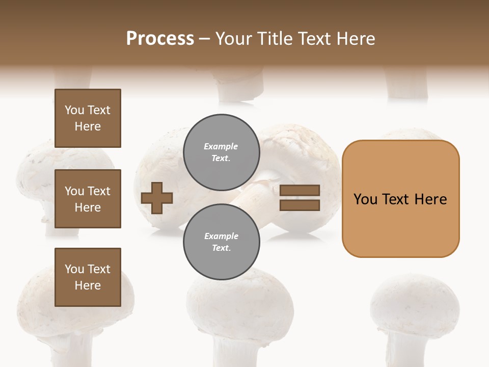Fungus Nature Studio PowerPoint Template