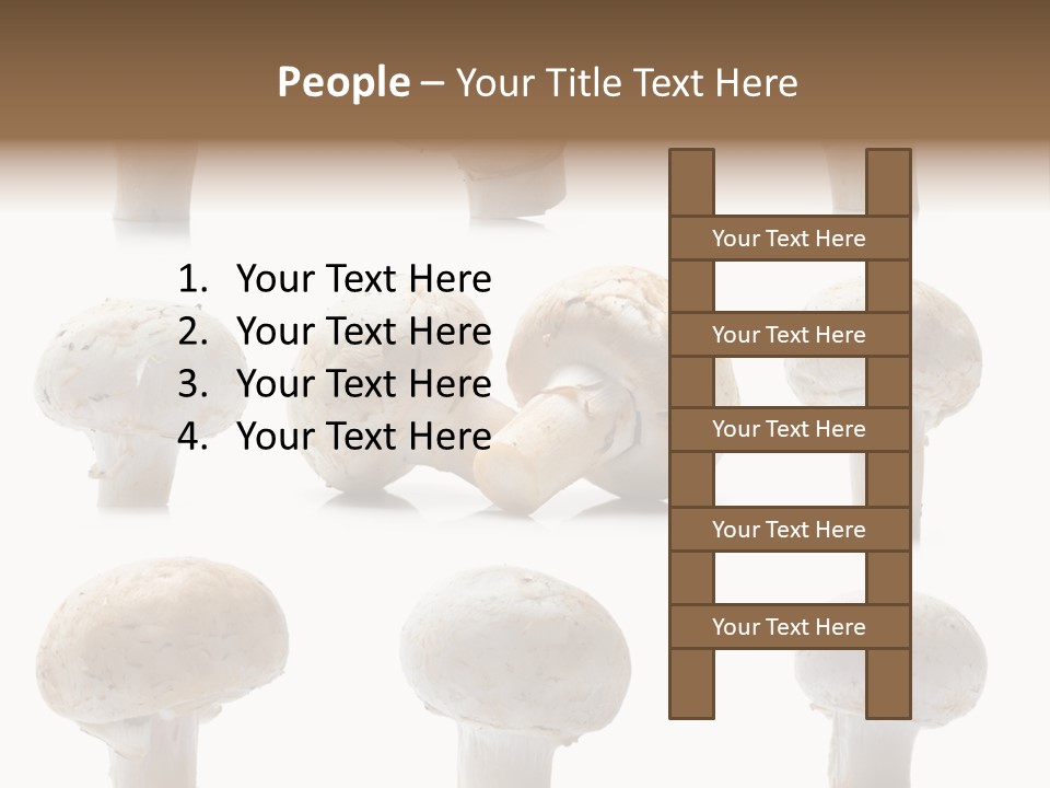 Fungus Nature Studio PowerPoint Template