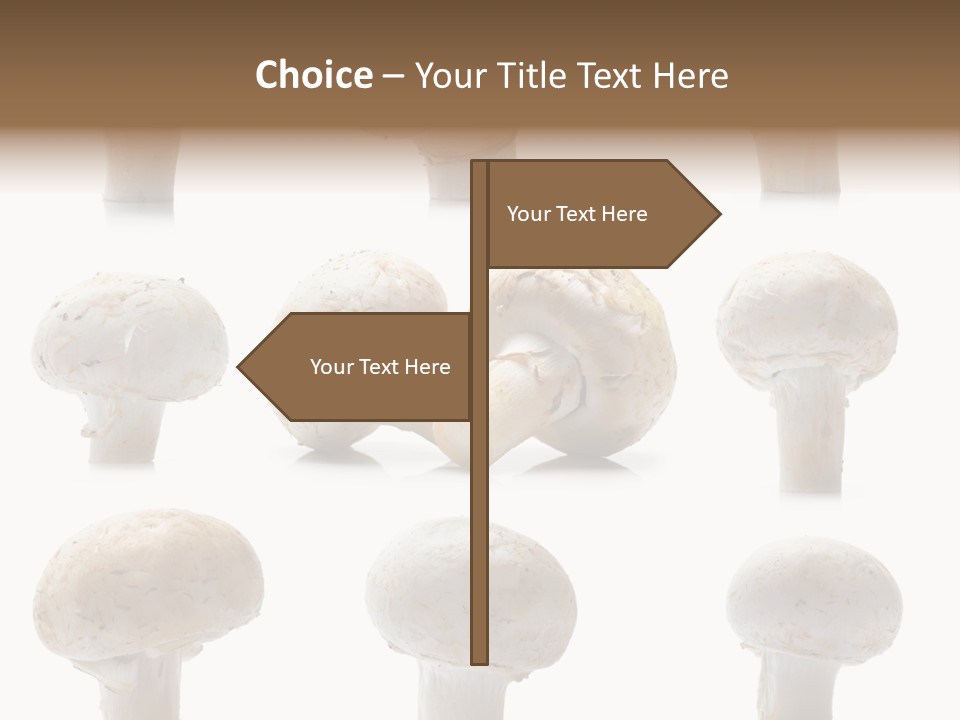 Fungus Nature Studio PowerPoint Template