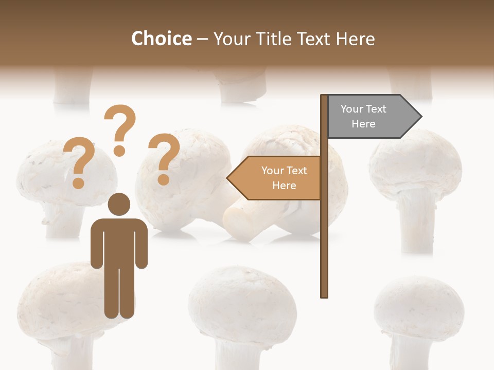Fungus Nature Studio PowerPoint Template