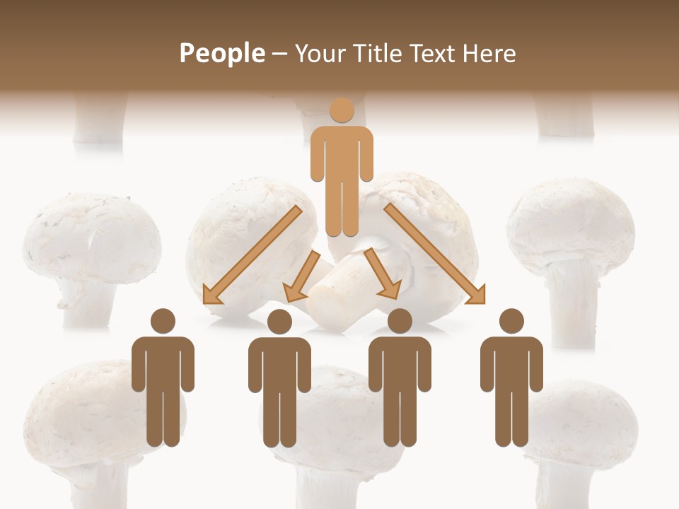 Fungus Nature Studio PowerPoint Template