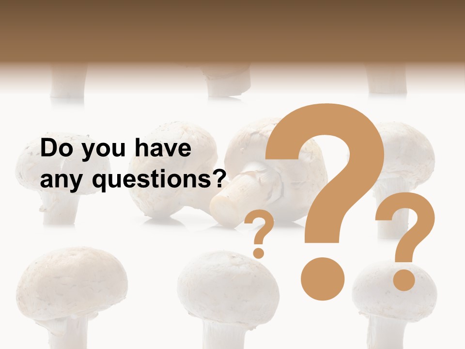 Fungus Nature Studio PowerPoint Template