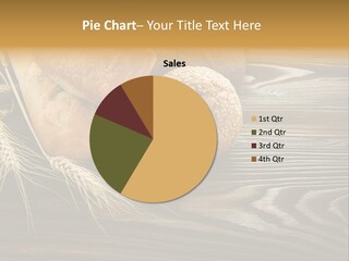 Bread PowerPoint Template