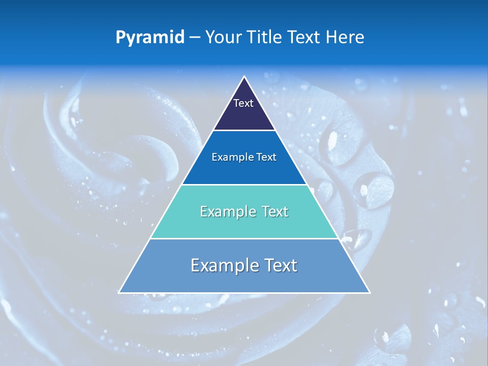 Blue Rose PowerPoint Template