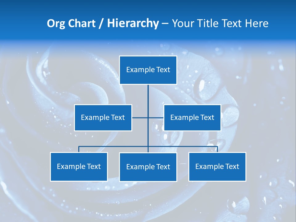 Blue Rose PowerPoint Template