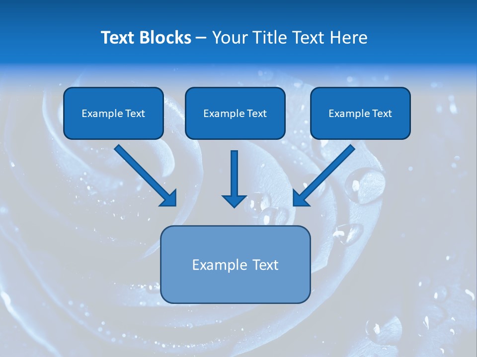 Blue Rose PowerPoint Template