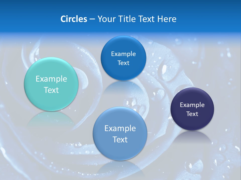 Blue Rose PowerPoint Template