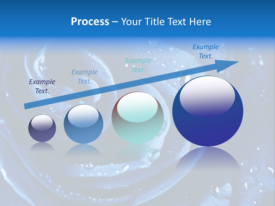 Blue Rose PowerPoint Template