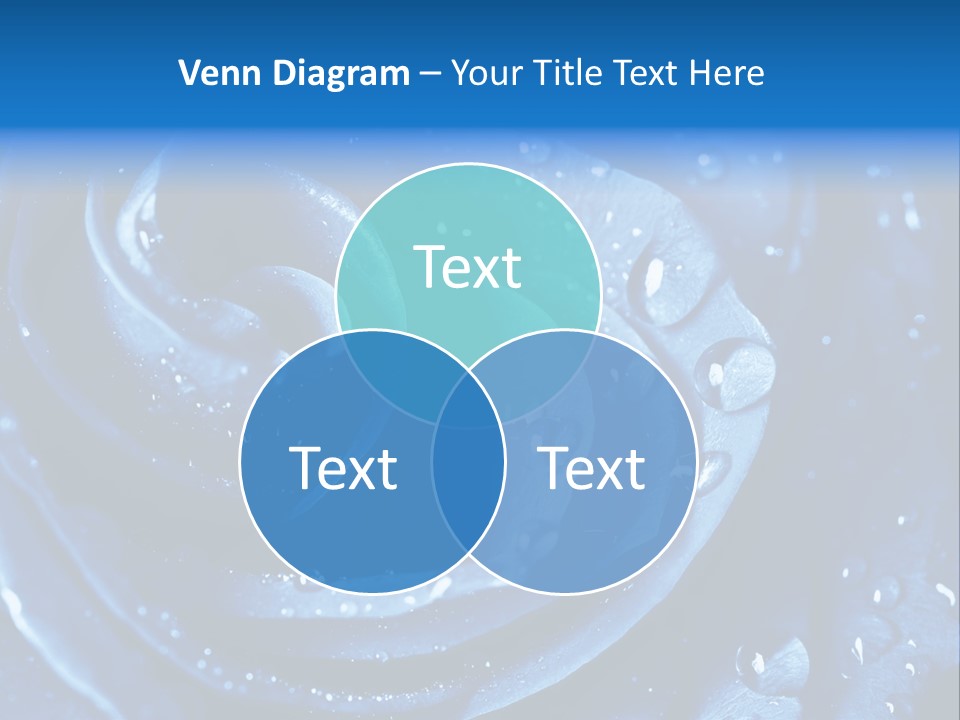 Blue Rose PowerPoint Template
