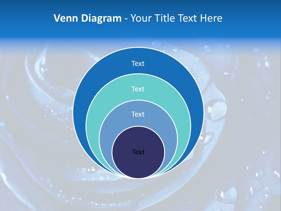 Blue Rose PowerPoint Template
