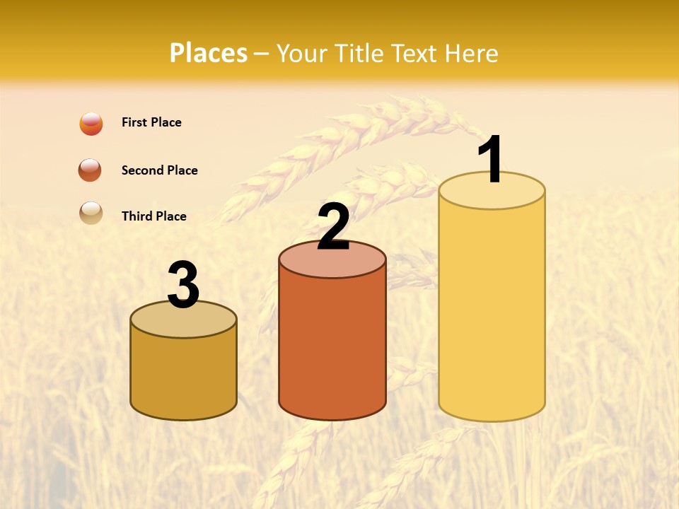 Agricultural Plant Rye PowerPoint Template