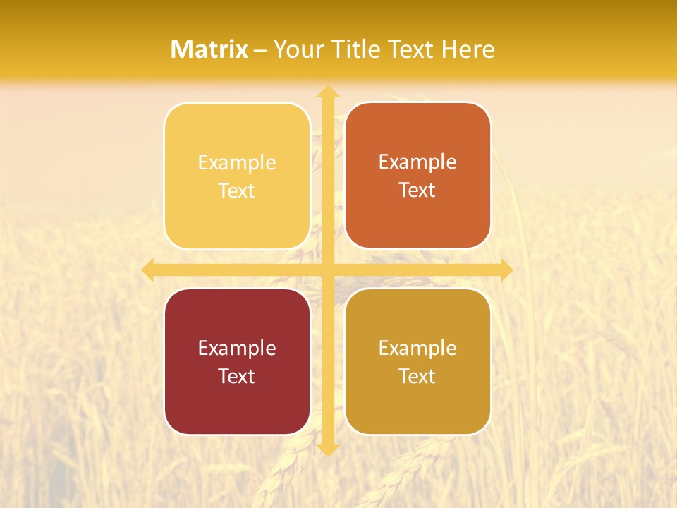 Agricultural Plant Rye PowerPoint Template
