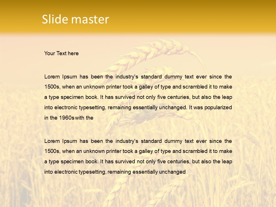 Agricultural Plant Rye PowerPoint Template
