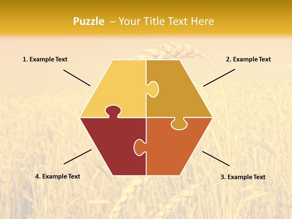 Agricultural Plant Rye PowerPoint Template