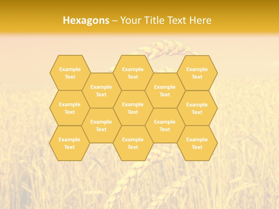 Agricultural Plant Rye PowerPoint Template