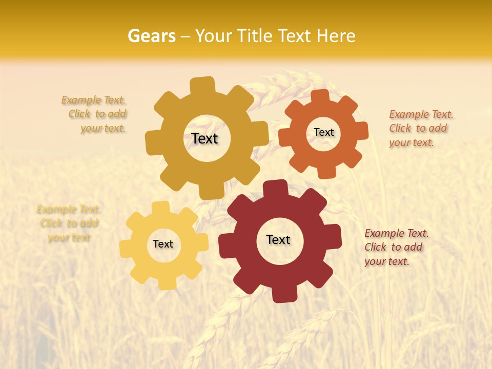 Agricultural Plant Rye PowerPoint Template