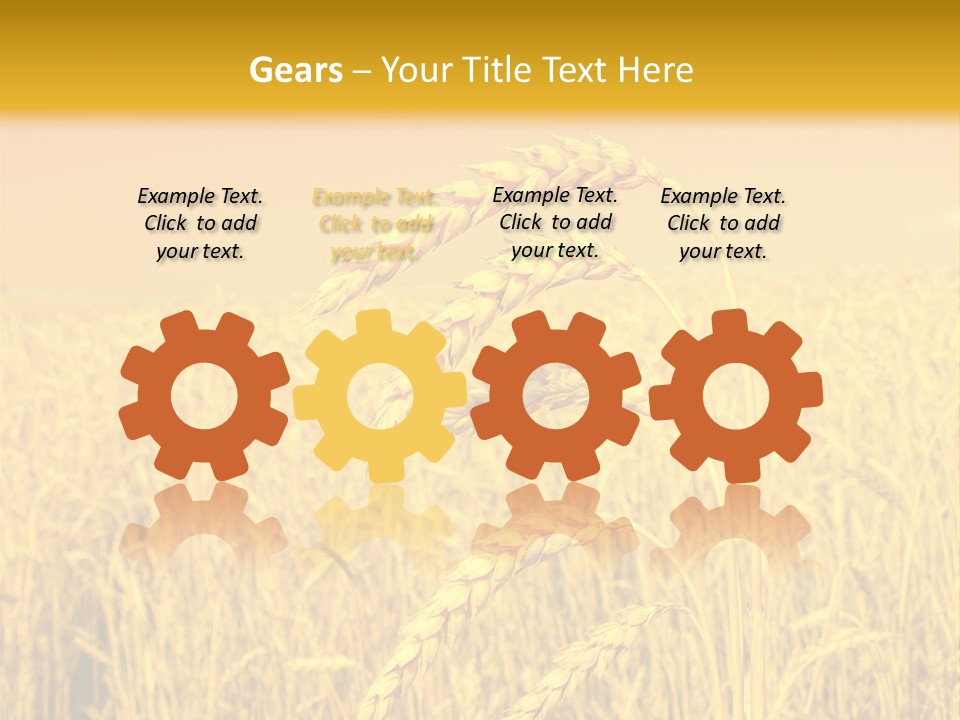 Agricultural Plant Rye PowerPoint Template