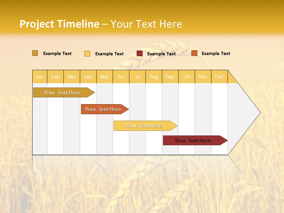 Agricultural Plant Rye PowerPoint Template