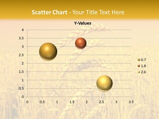 Agricultural Plant Rye PowerPoint Template