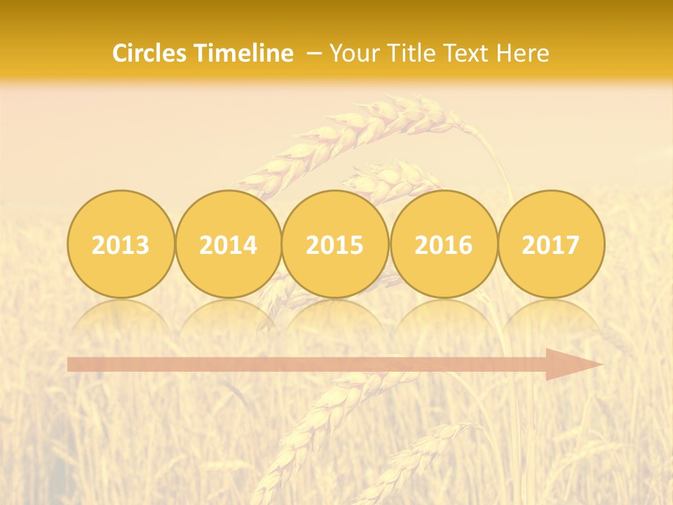 Agricultural Plant Rye PowerPoint Template