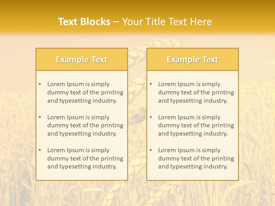Agricultural Plant Rye PowerPoint Template
