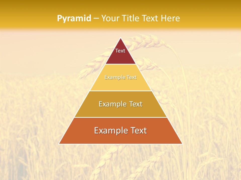 Agricultural Plant Rye PowerPoint Template