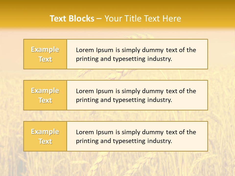 Agricultural Plant Rye PowerPoint Template