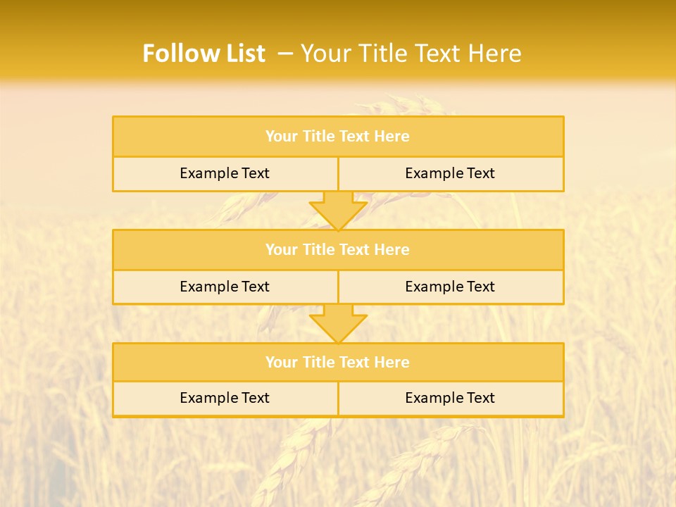 Agricultural Plant Rye PowerPoint Template