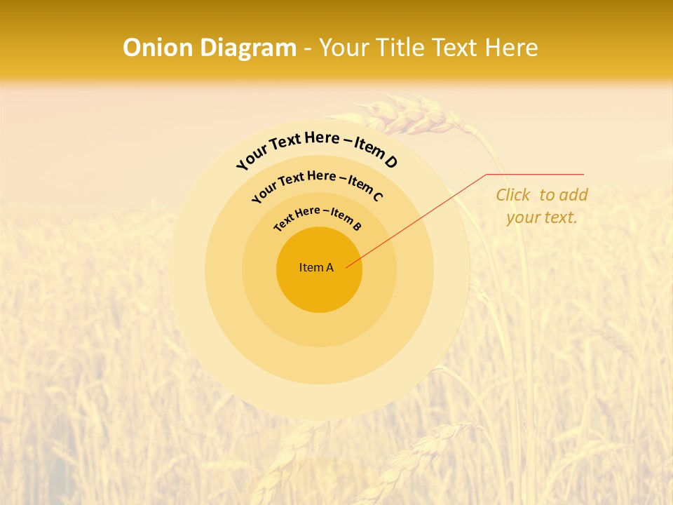 Agricultural Plant Rye PowerPoint Template
