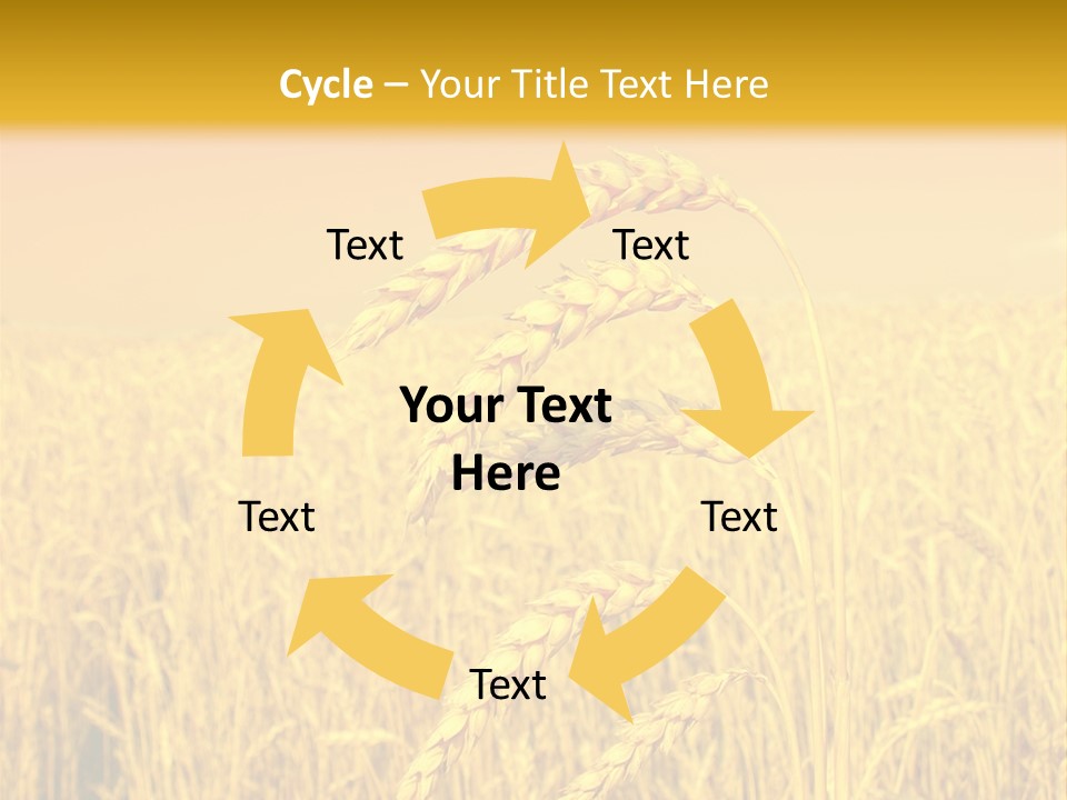Agricultural Plant Rye PowerPoint Template