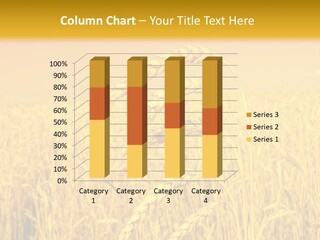 Agricultural Plant Rye PowerPoint Template