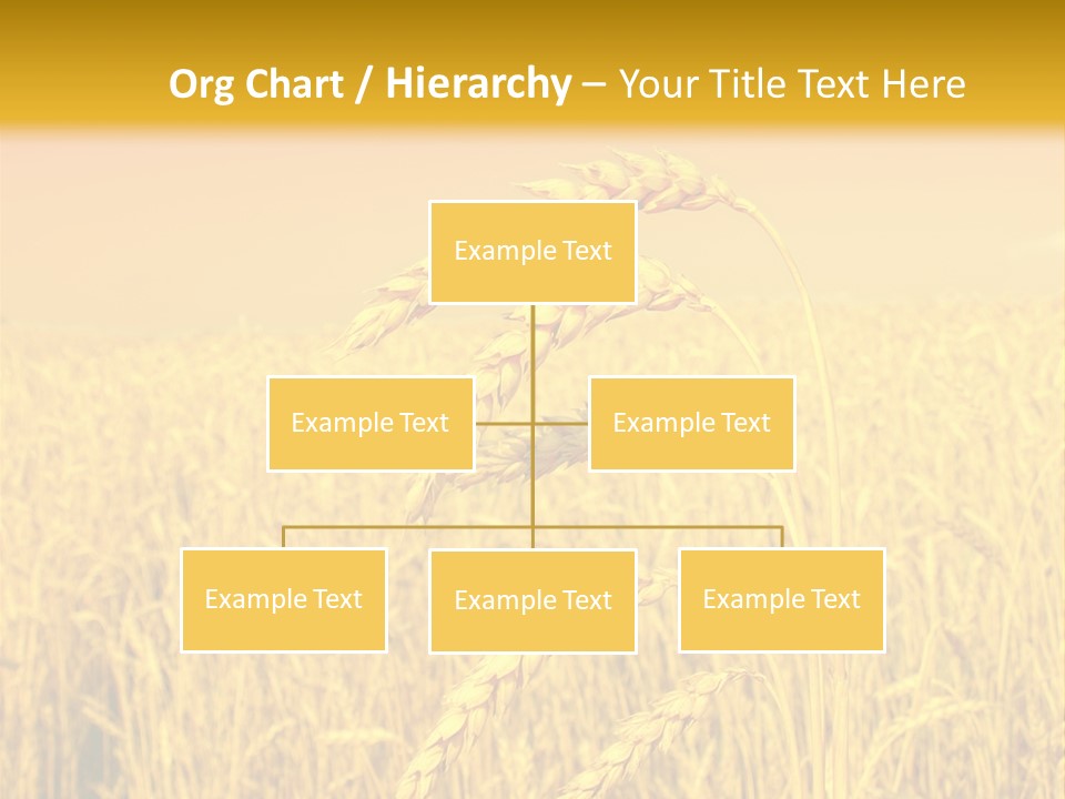 Agricultural Plant Rye PowerPoint Template