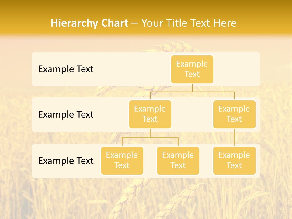 Agricultural Plant Rye PowerPoint Template