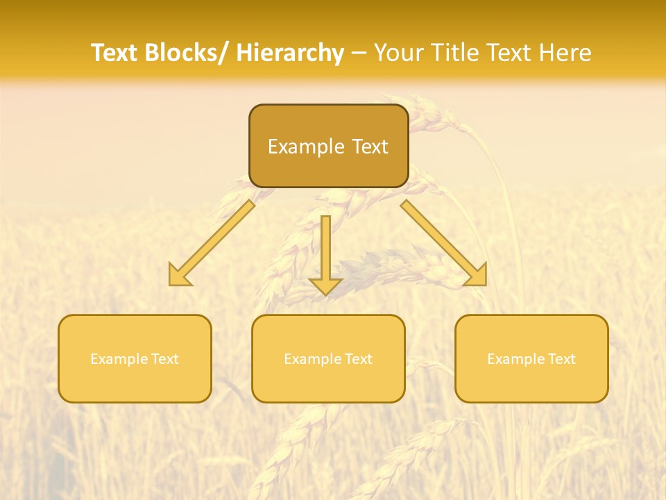 Agricultural Plant Rye PowerPoint Template