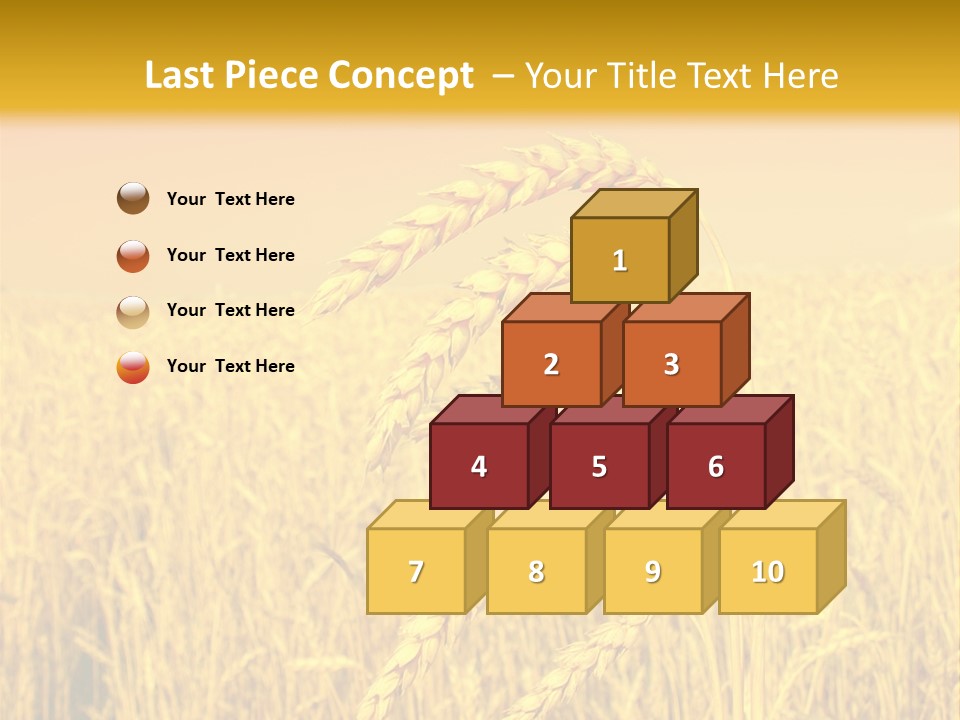 Agricultural Plant Rye PowerPoint Template