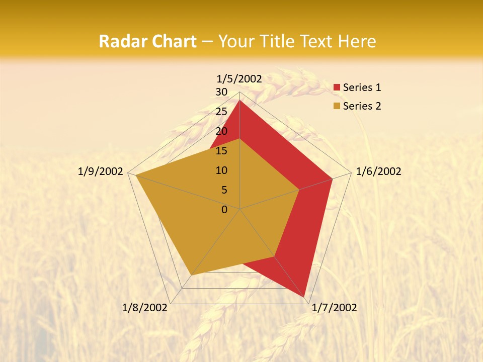 Agricultural Plant Rye PowerPoint Template