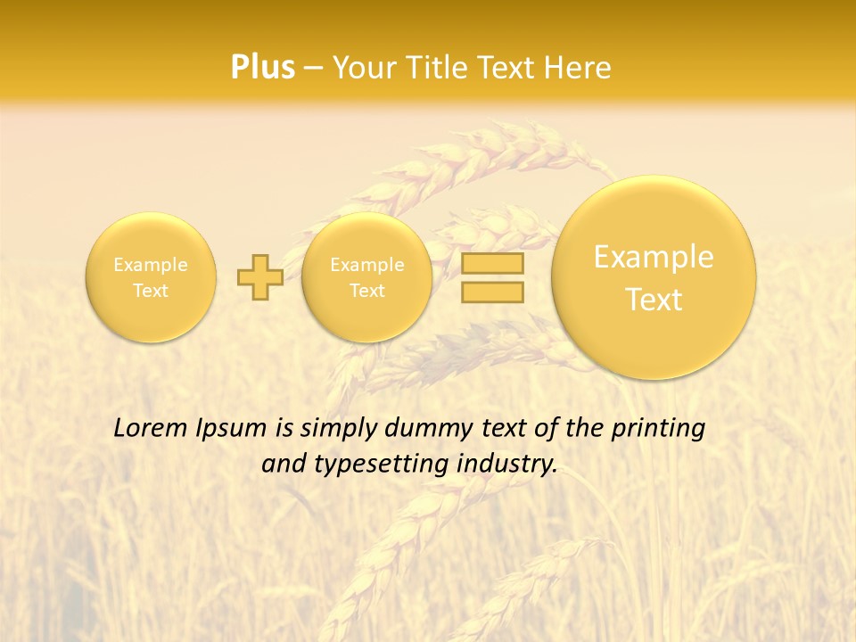 Agricultural Plant Rye PowerPoint Template